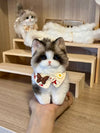 Mini Twist Kitty Doll – 10-12cm Standing